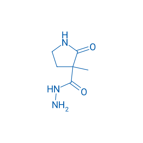 3-Methyl-2-oxopyrrolidine-3-carbohydrazide 10g