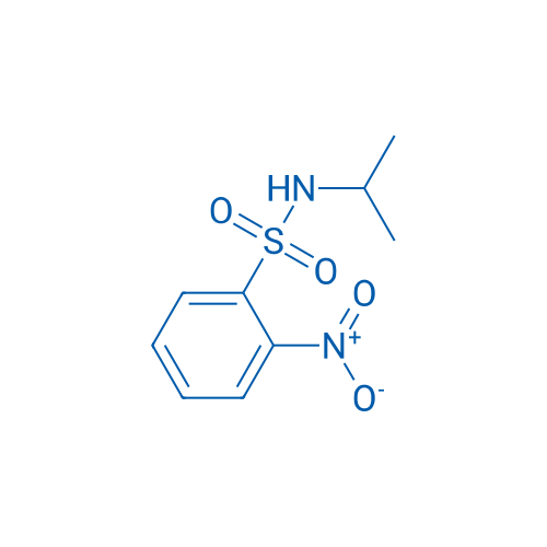 N-Isopropyl-2-nitrobenzenesulfonamide 25g