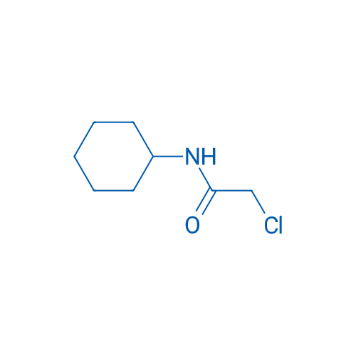 2-Chloro-N-cyclohexylacetamide 1g