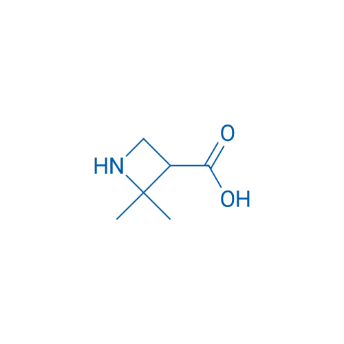 2,2-Dimethylazetidine-3-carboxylic acid 100mg