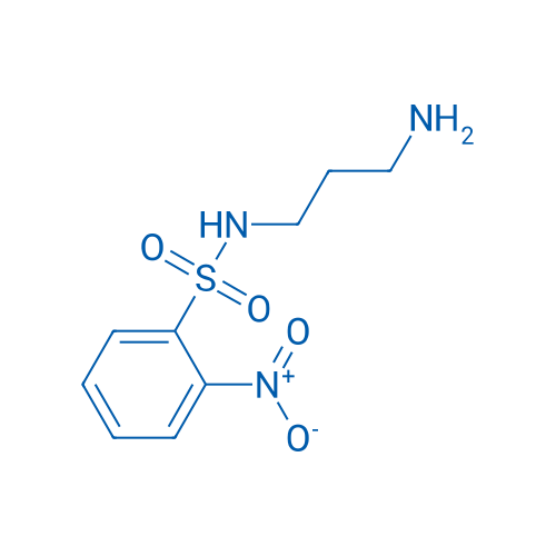 N-(3-Aminopropyl)-2-nitrobenzenesulfonamide 1g