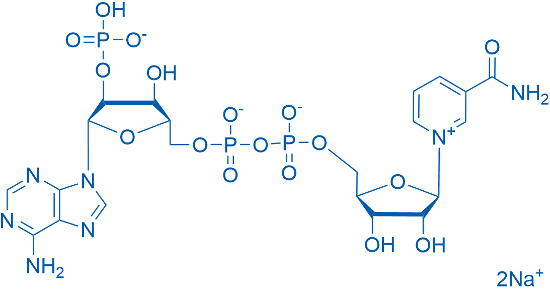 NADP disodium salt 25g