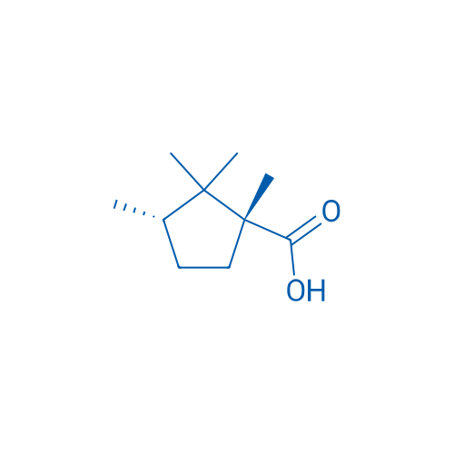 Rel-(1R,3S)-1,2,2,3-tetramethylcyclopentane-1-carboxylic acid 10g