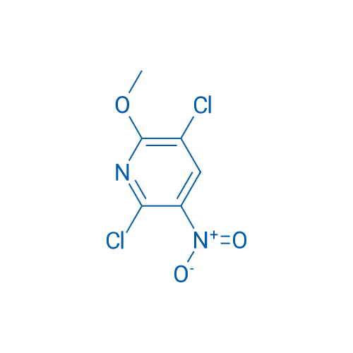 2,5-Dichloro-6-methoxy-3-nitropyridine 1g