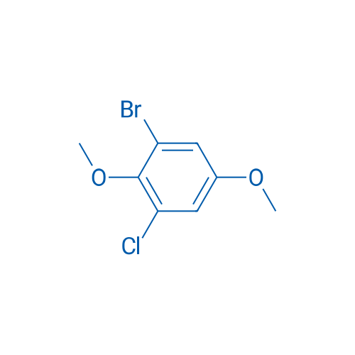 1-Bromo-3-chloro-2,5-dimethoxybenzene 5g