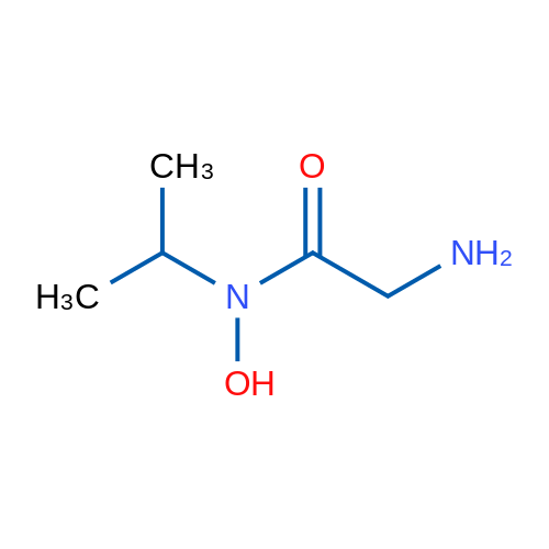 2-Amino-n-hydroxy-n-(propan-2-yl)acetamide 1g