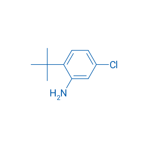 2-(tert-Butyl)-5-chloroaniline 250mg