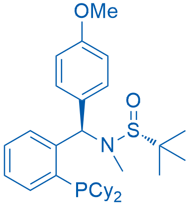 (R)-N-((R)-(2-(Dicyclohexylphosphanyl)phenyl)(4-methoxyphenyl)methyl)-N,2-dimethylpropane-2-sulfinamide 50mg