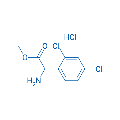 Methyl 2-amino-2-(2,4-dichlorophenyl)acetate hydrochloride 1g