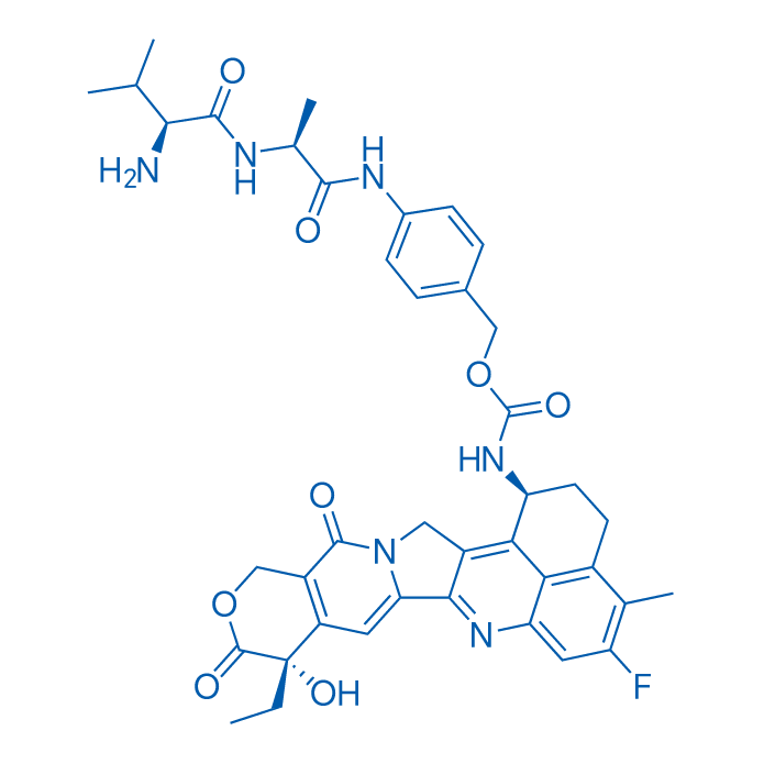 Val-Ala-PABC-Exatecan 25mg