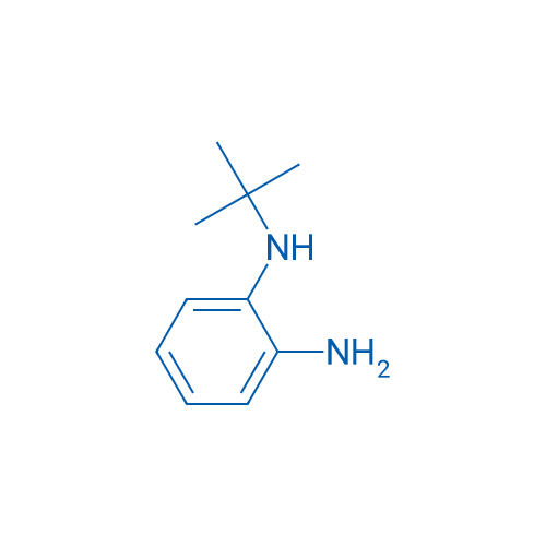 N1-(tert-Butyl)benzene-1,2-diamine 1g