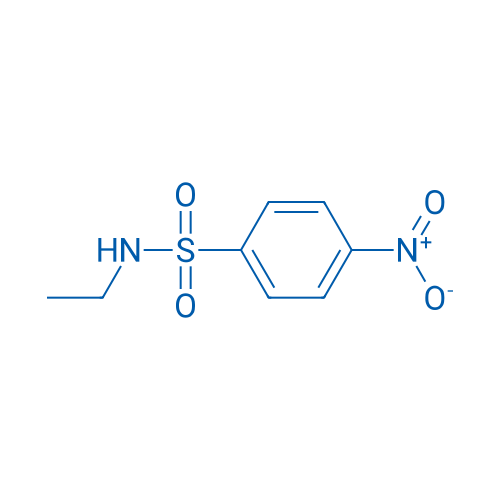 N-Ethyl-4-nitrobenzenesulfonamide 1g