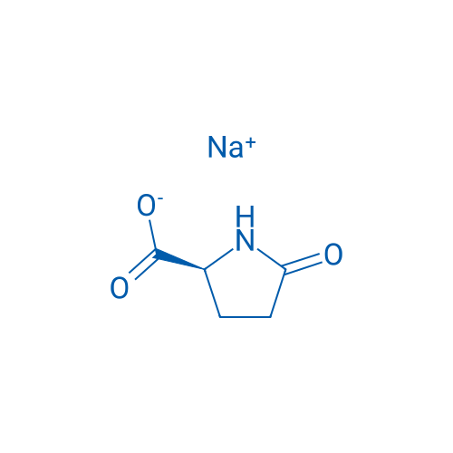 L-Pyroglutamic acid sodium 100g