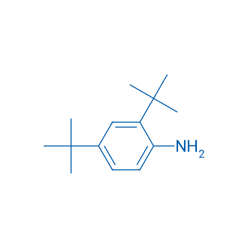 2,4-Di-tert-butylaniline 1g