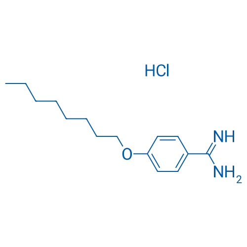 4-(Octyloxy)benzene-1-carboximidamide hydrochloride 1g