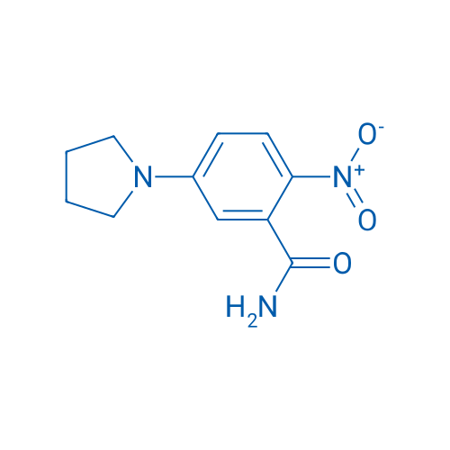 2-Nitro-5-(pyrrolidin-1-yl)benzamide 1g