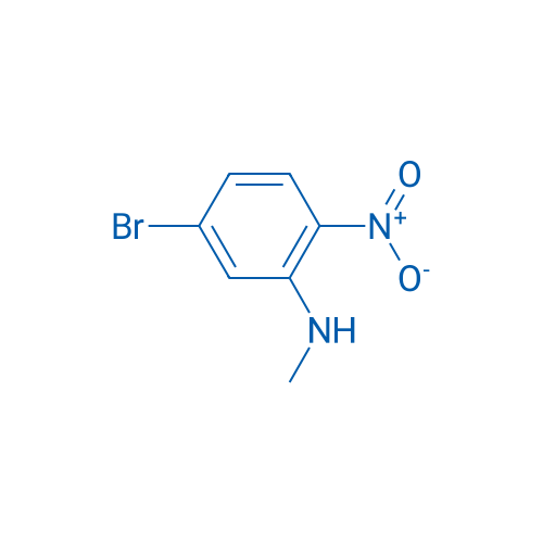 5-Bromo-N-methyl-2-nitroaniline 1g