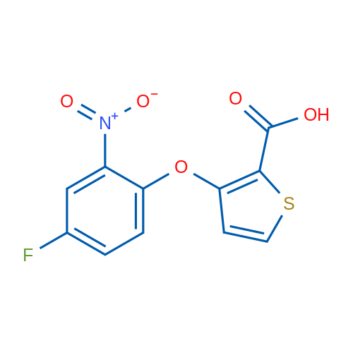 3-(4-Fluoro-2-nitrophenoxy)thiophene-2-carboxylic acid 1g