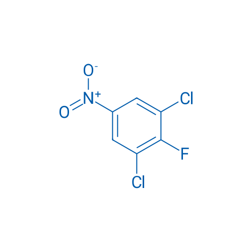 1,3-Dichloro-2-fluoro-5-nitrobenzene 500g