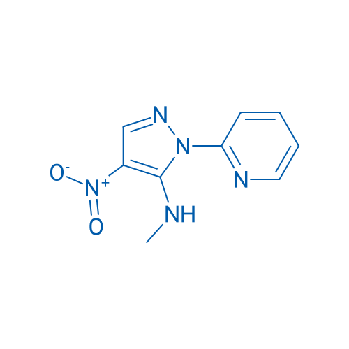 N-Methyl-4-nitro-1-(pyridin-2-yl)-1H-pyrazol-5-amine 1g