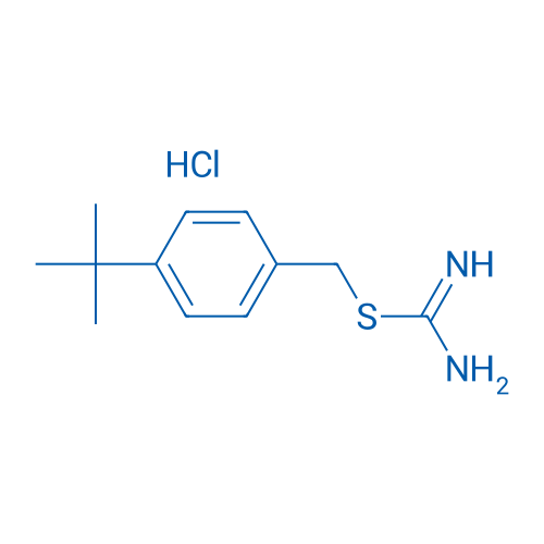 2-(4-tert-Butyl-benzyl)-isothiourea hydrochloride 1g