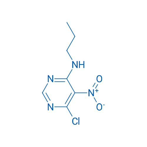 6-Chloro-5-nitro-N-propylpyrimidin-4-amine 1g