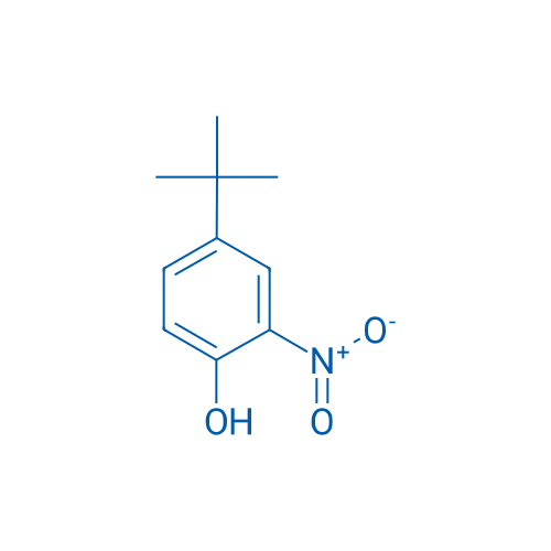 4-(tert-Butyl)-2-nitrophenol 100g