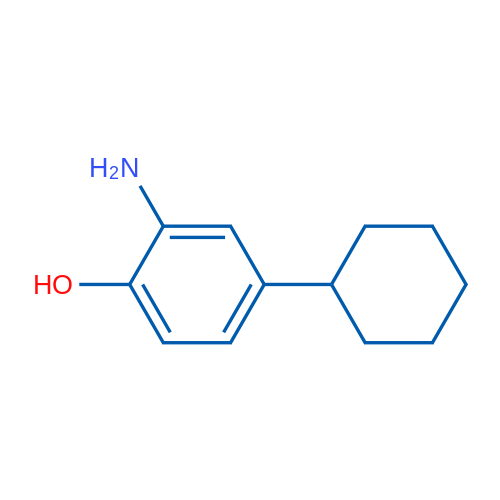2-Amino-4-cyclohexylphenol 1g