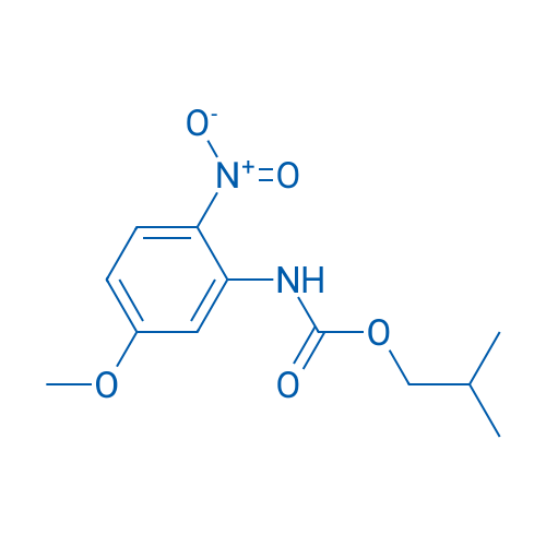 Isobutyl (5-methoxy-2-nitrophenyl)carbamate 100mg