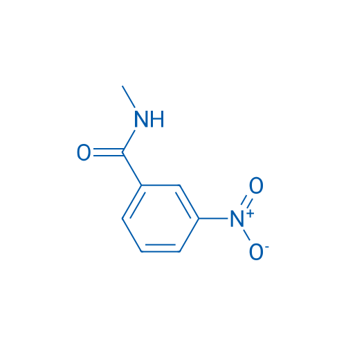 N-Methyl-3-nitrobenzamide 250mg