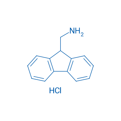 (9H-Fluoren-9-yl)methanamine hydrochloride 1g