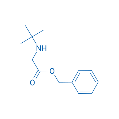 Benzyl 2-(tert-butylamino)acetate 100g