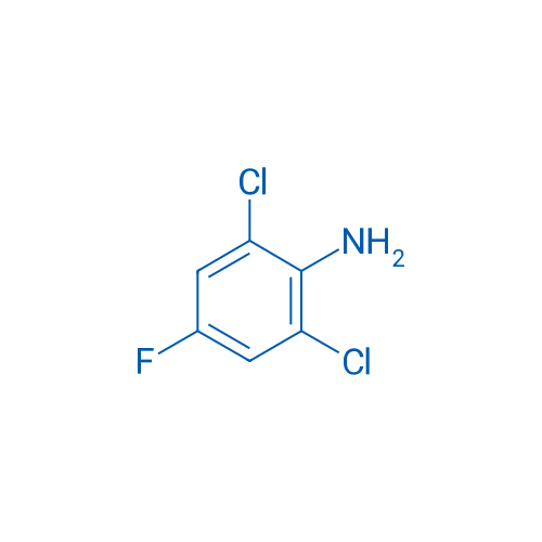 2,6-Dichloro-4-fluoroaniline 10g