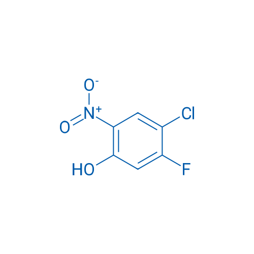 4-Chloro-5-fluoro-2-nitrophenol 250mg