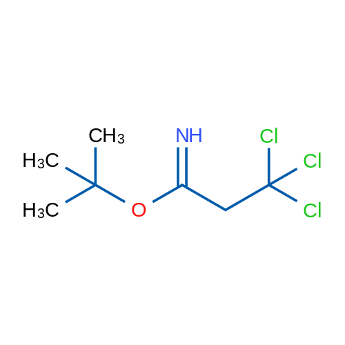 tert-Butyl 3,3,3-trichloropropanimidate 25g