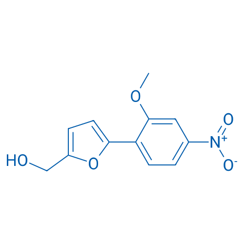 (5-(2-Methoxy-4-nitrophenyl)furan-2-yl)methanol 1g