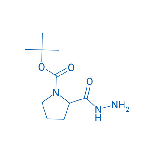 tert-Butyl 2-(hydrazinecarbonyl)pyrrolidine-1-carboxylate 1g