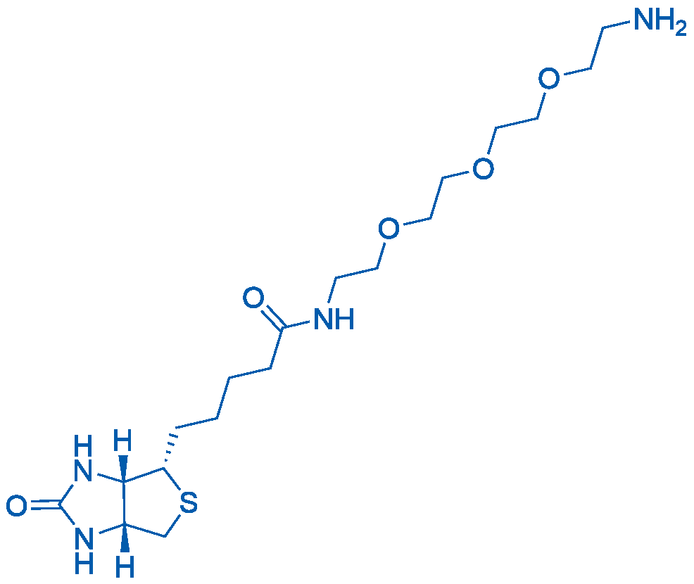 Amine-PEG3-Biotin 5g