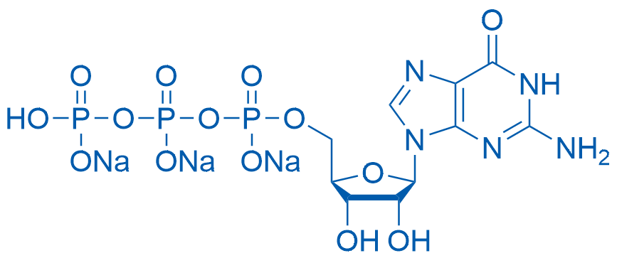 Guanosine 5'-triphosphate trisodium salt 250mg