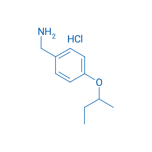 (4-(sec-Butoxy)phenyl)methanamine hydrochloride 1g
