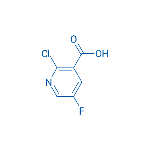 2-Chloro-5-fluoronicotinic acid 25g