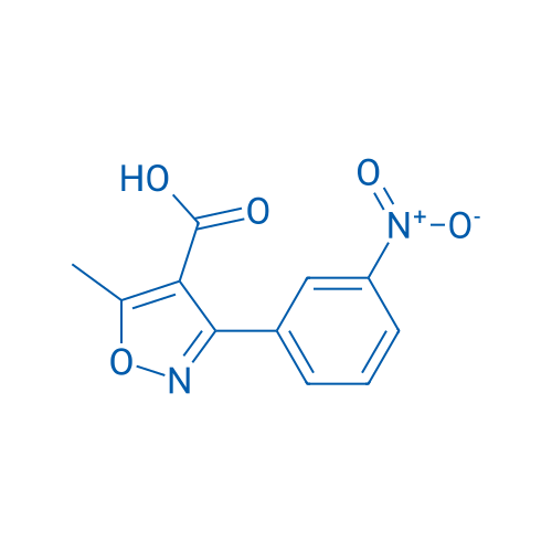 5-Methyl-3-(3-nitrophenyl)isoxazole-4-carboxylic acid 250mg