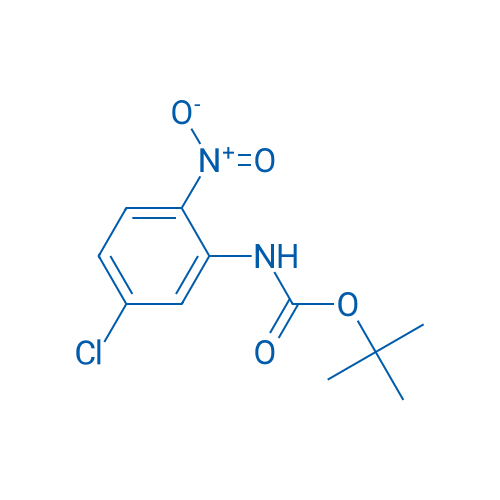tert-Butyl (5-chloro-2-nitrophenyl)carbamate 1g