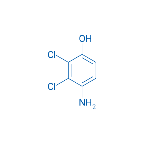 4-Amino-2,3-dichlorophenol 1g