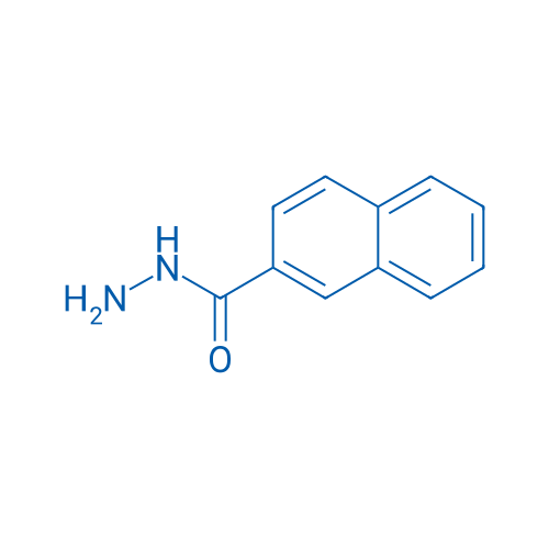 2-Naphthohydrazide 250mg
