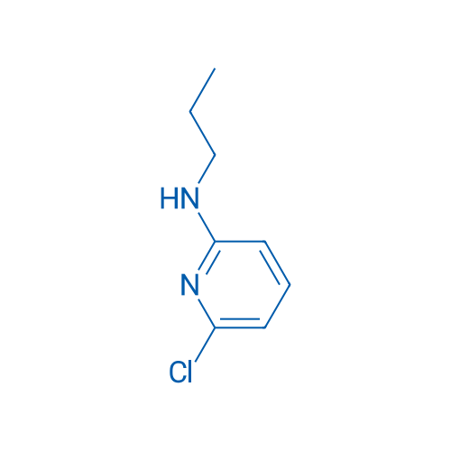 6-Chloro-N-propylpyridin-2-amine 1g
