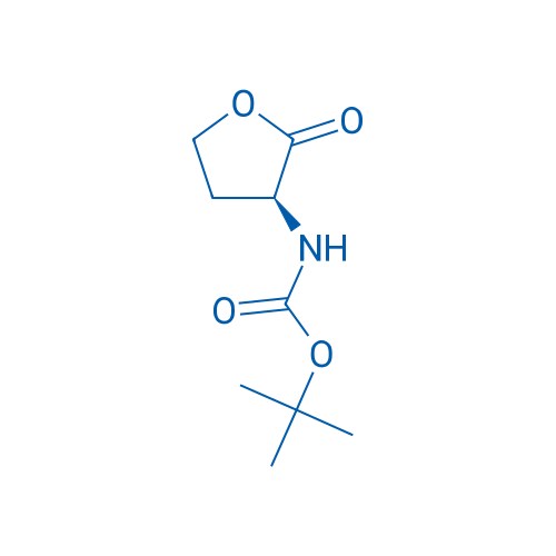 Boc-Hse-Lactone 1g