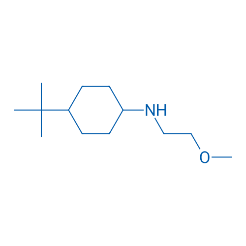 4-(tert-Butyl)-N-(2-methoxyethyl)cyclohexan-1-amine 10g