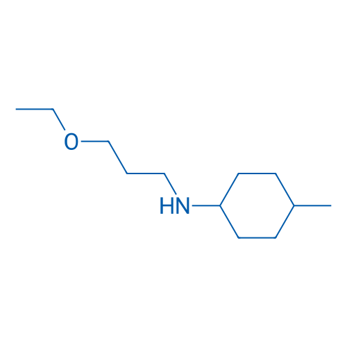 N-(3-Ethoxypropyl)-4-methylcyclohexan-1-amine 10g