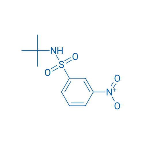 N-(tert-Butyl)-3-nitrobenzenesulfonamide 100mg